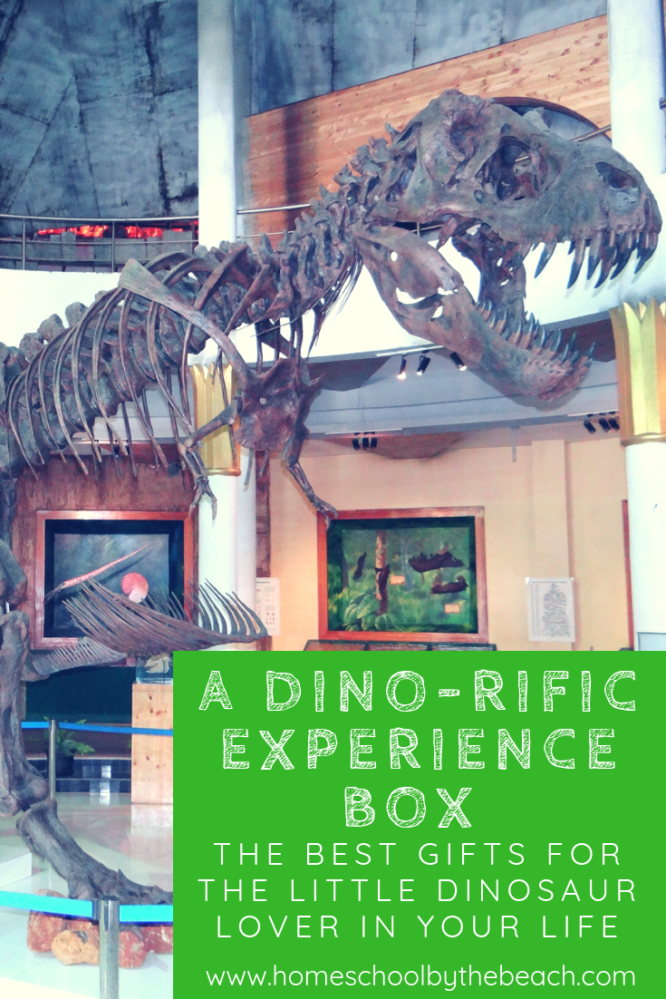 A DINO-RIFIC Experience Box for your Little Paleontologists!